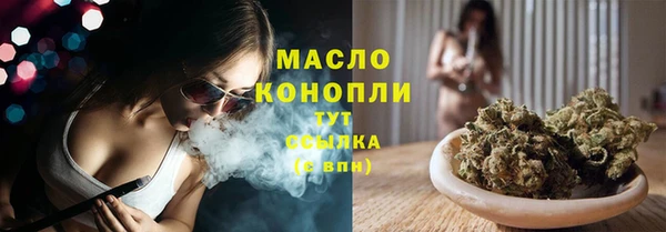 гидра Горнозаводск
