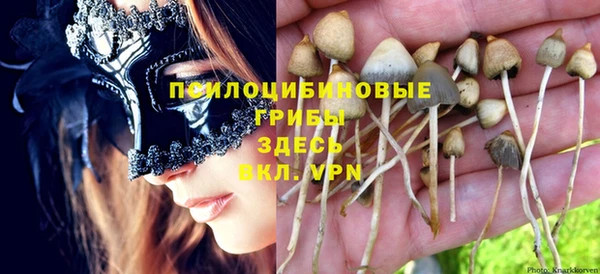 прущий лед Вязники